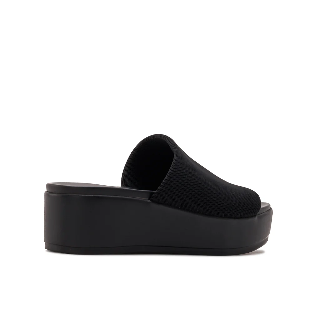 SAN DIEGO - Image 11