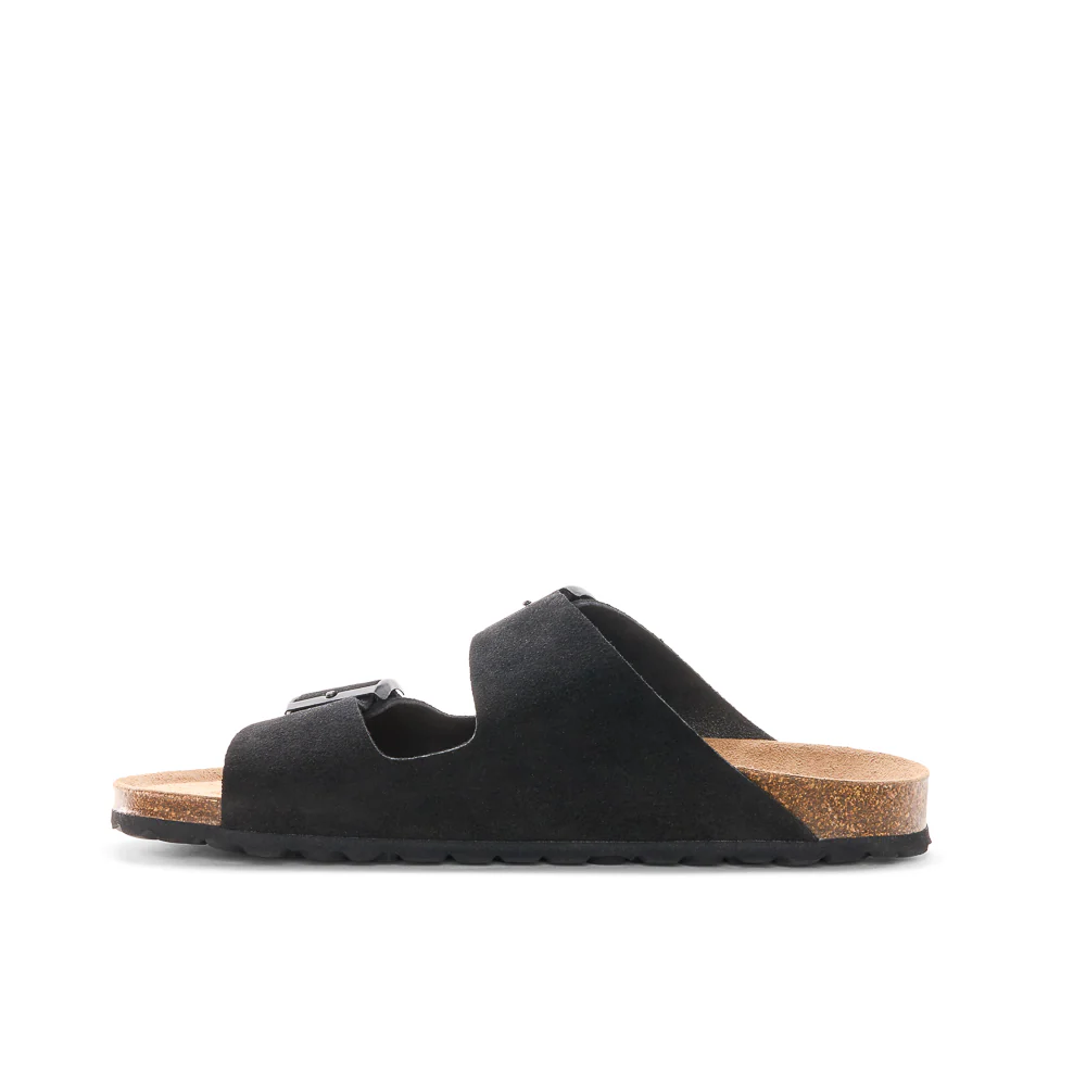 NORVEGE II M - Image 14